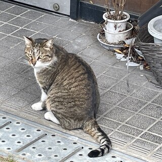 中華そば三丁目_1