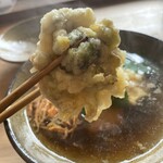 季より - ふきのとう