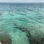 ハリーズ シュリンプ トラック - 