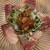 BISTRO Kuu - 料理写真: