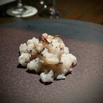 LAT.34°N by 蒼 - 神経〆真蛸のリゾット。タコ飯風リゾットに蛸のバターソテーが乗っています。吸盤の食感と、蛸の旨みが悶絶物。もう一度これ食べたいんですけど、どうしたら?