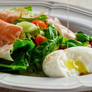 バードツリー_2