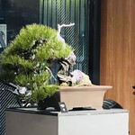 赤身肉じゃんか中目店 - 