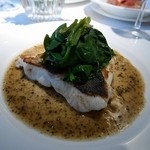 コート ドール - ヒラスズキ