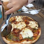 ブルータートル - 