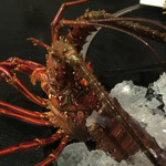 匠 - 伊勢海老の拡大