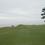 グリル - 太平洋に向かって打つ14番ミドルホール