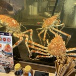 熱海おさかな・大食堂 - 