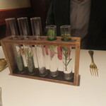 アピシウス - ハーブティーの選択