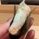 鮨 うら紀 - 車海老天むす