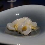 LAT.34°N by 蒼 - アオリイカ