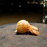 LAT.34°N by 蒼 - アカザエビ