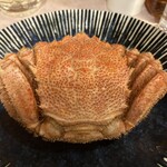 居酒屋 ほがら家 - 毛蟹