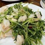 歓迎 あやめ橋店 - 