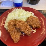 かつや - 料理写真:ヒレカツアップ