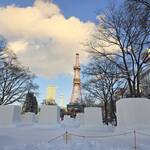 一夜干しと海鮮丼 できたて屋 時計台店 - 