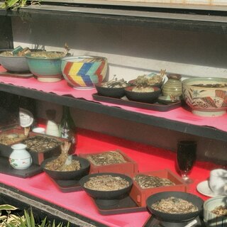 そば処 賀満多家_0