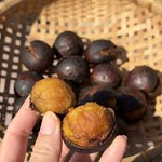 焼き栗 八昌 - 