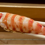 青山鮨孝 - 車海老