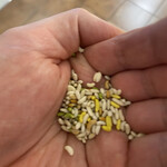 エリックサウス - 