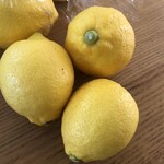 道の駅 しまなみの駅 御島 - 