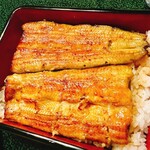 喜代川 - 鰻重も身厚で豪胆な盛り