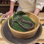 鮨よしかわ 海道 新宿 - 