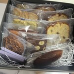 アサコ イワヤナギ プリュス - 