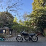 moderato on the green - 