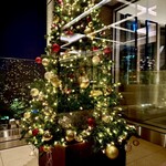 SALONE TOKYO - テラスにはクリスマスツリーが飾られていました。