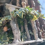 みかわ 是山居 - 蔦？の壁