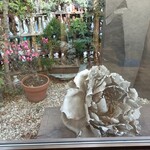 みかわ 是山居 - 椿