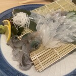 和処 あかつき - いか活造り刺盛　今の時期は「ミズイカ」