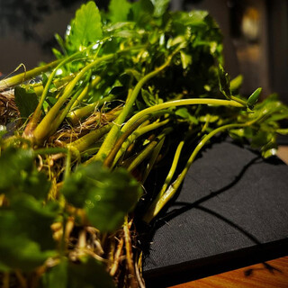 「芹」は直送の北海道産！！