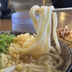 こがね製麺所 - かけうどん冷（中・660円）