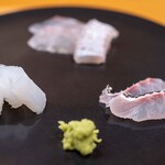 鮨 いとう - 2026.1 お造り（地物鮃エンガワ付、藤本さん真鯛、長谷川さんアオリイカ）