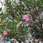 友安製作所Cafe＆Bar - 