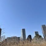 うさぎや - 風もなくポカポカ