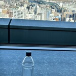 うさぎや - 更に北とぴあの展望台で東方面を愛でる