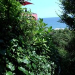 アマルフィイ デラセーラ - 青い海