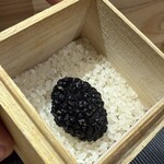 鮨ト酒肴 富かわ - 