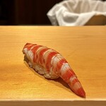 鮨 はしもと - 車海老 約40g 宇部より