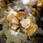 浜焼太郎 - 料理写真: