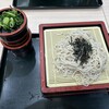 ほなみ - 