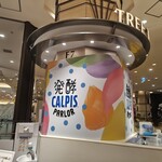 発酵 CALPIS PARLOR - 
