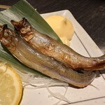 居酒屋 勇旬 いか太郎 - 