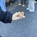 ラケッティのラクーンサルーン - 