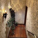 コヒア アラビカ - 