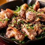 【親鶏】ガーリック鉄板ステーキ ＜黒富士の農場 甲斐市上芦沢＞ ハーフ