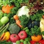 新鮮『有機野菜』 ＜八ヶ岳 南麓ファーム＞